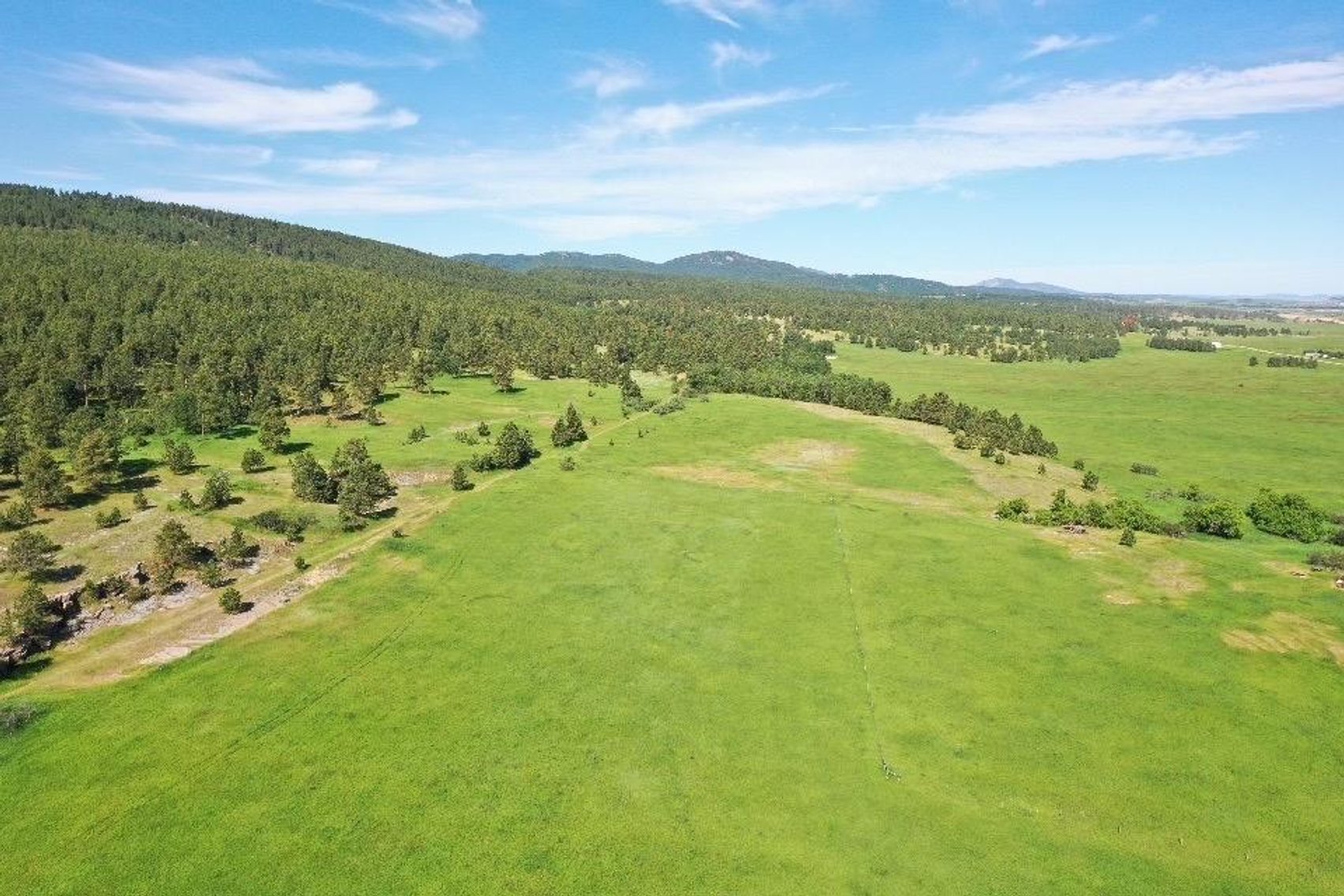 Image for Cole Whitewood Creek Land Auction - Sept. 26th