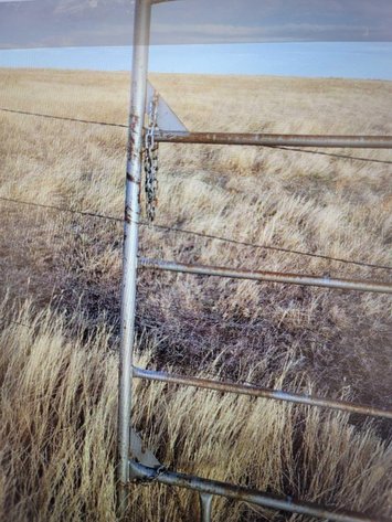 Image for Pickups, Hay, Trailers, RV's, Collectibles, Livestock Panels - February 14th