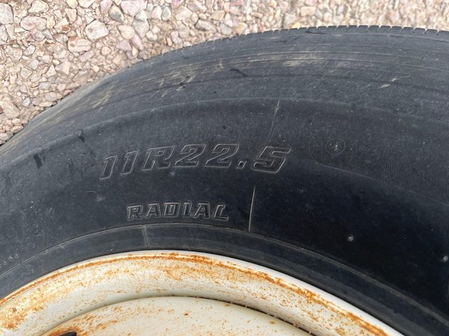 Image for Ring 2 Online Only - Mar 26th 1:00 pm