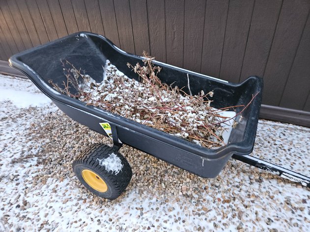 Image for FrostBID RING 2 ~ Equip/Misc - Jan 27th