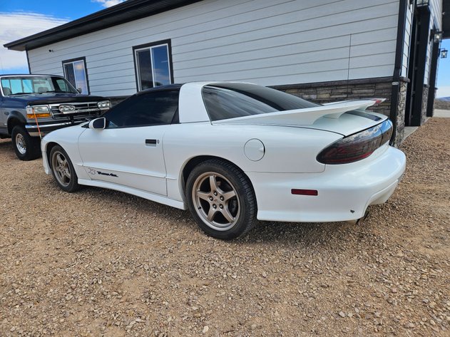 Image for '94 Pontiac Firebird 25th Anniversary Trans Am