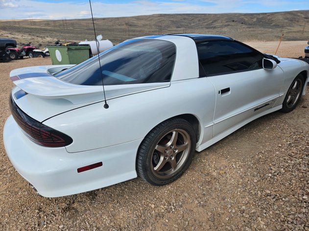 Image for '94 Pontiac Firebird 25th Anniversary Trans Am