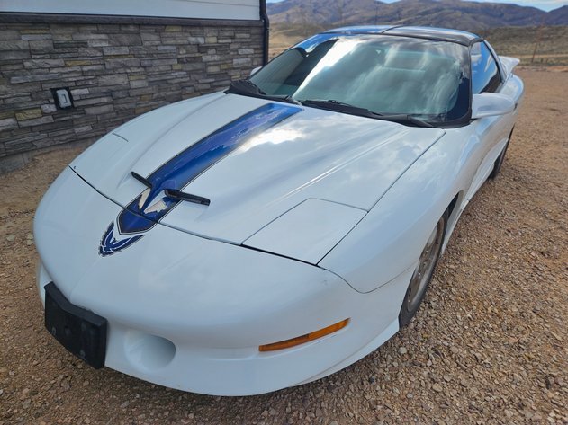 Image for '94 Pontiac Firebird 25th Anniversary Trans Am