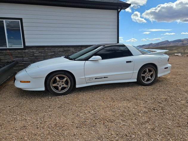 Image for '94 Pontiac Firebird 25th Anniversary Trans Am
