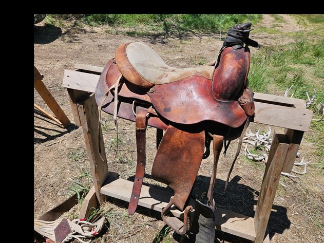 Image for Saddle