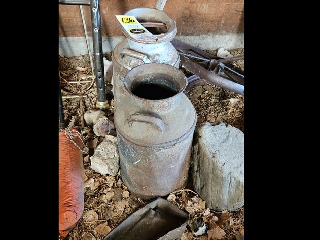 Image for Antique cans/ unique rocks