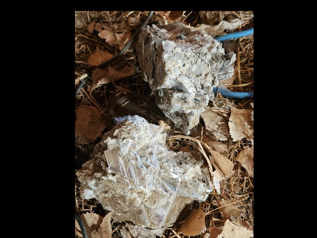Image for Antique cans/ unique rocks