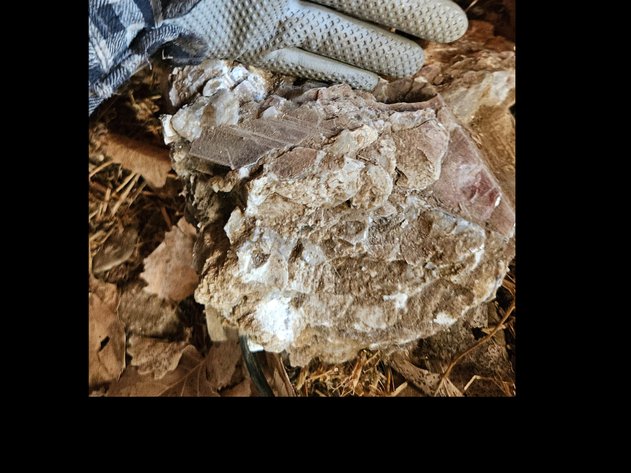 Image for Antique cans/ unique rocks