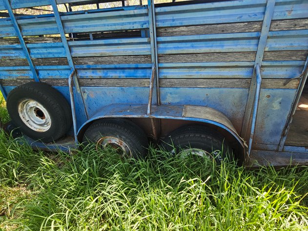 Image for Horse Trailer