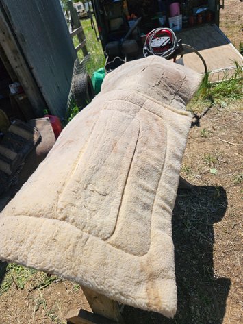 Image for Saddle blankets
