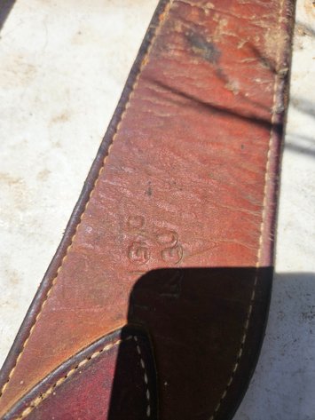 Image for Horse