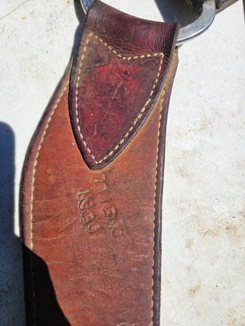 Image for Horse