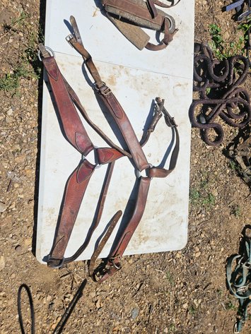 Image for Horse