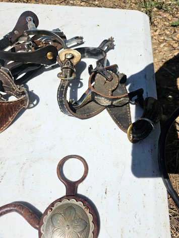 Image for Horse