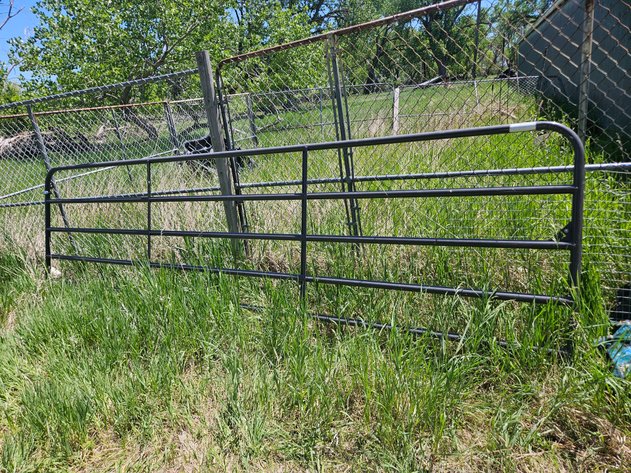Image for Metal gate