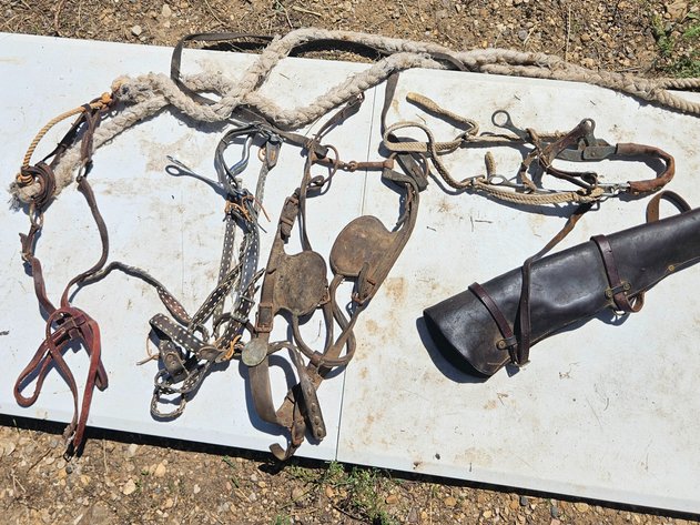 Image for Antique Bits/ Reigns