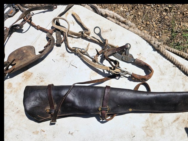 Image for Antique Bits/ Reigns