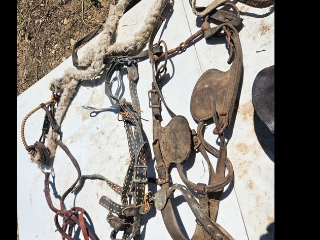 Image for Antique Bits/ Reigns