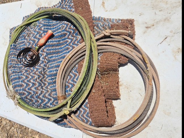 Image for Horse Brush/Lead Rope