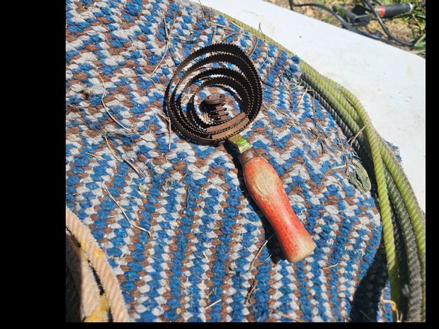 Image for Horse Brush/Lead Rope