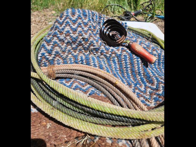 Image for Horse Brush/Lead Rope