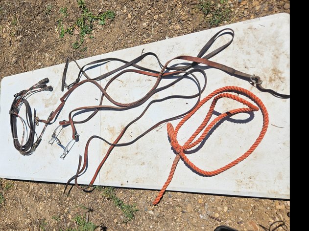 Image for Rope/ Lead Rope/Bit