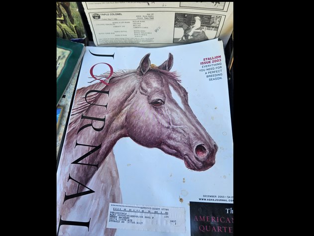 Image for Horse books in briefcase