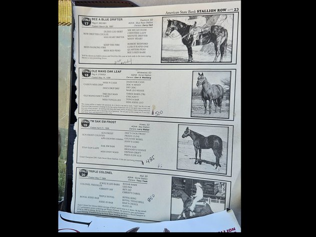 Image for Horse books in briefcase