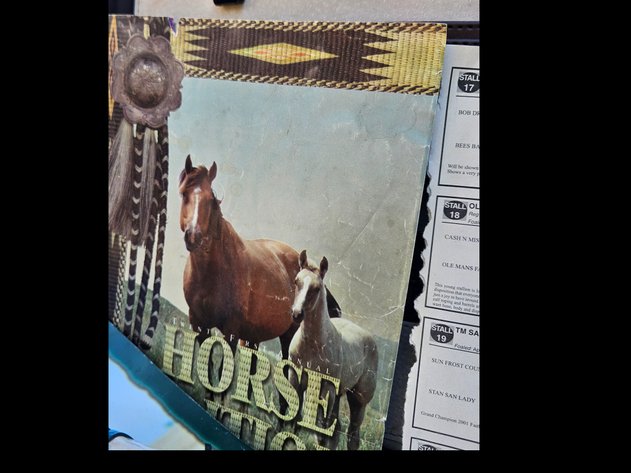 Image for Horse books in briefcase