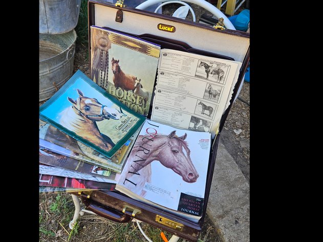 Image for Horse books in briefcase