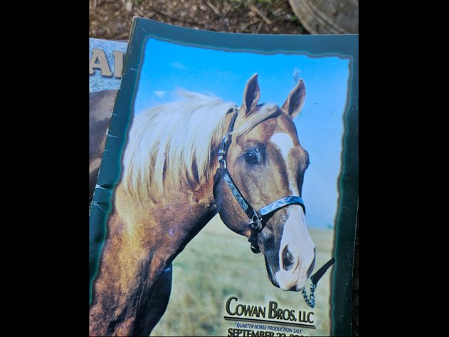 Image for Horse books in briefcase