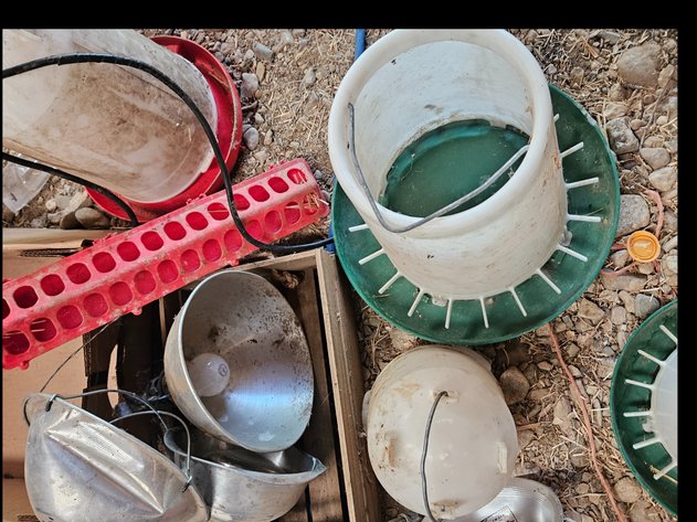Image for Feeders/  Warming lights