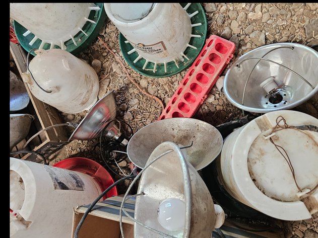 Image for Feeders/  Warming lights