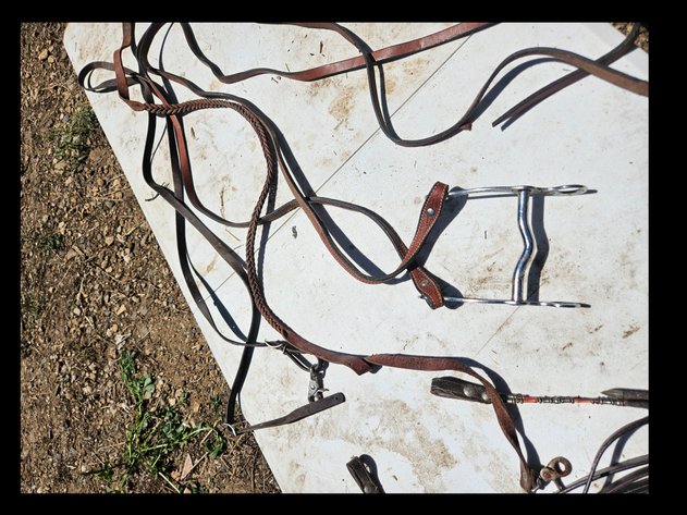 Image for Rope/ Lead Rope/Bit