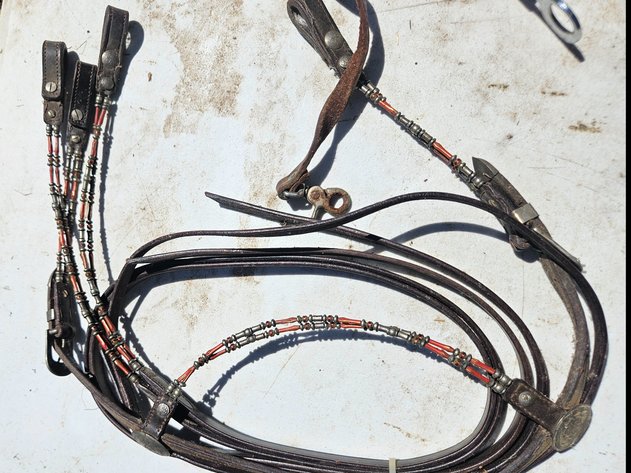 Image for Rope/ Lead Rope/Bit
