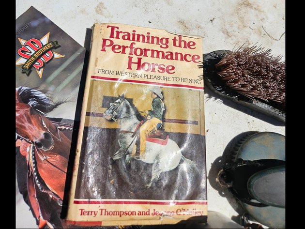 Image for HORSE LOT