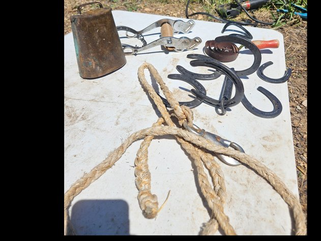 Image for BARN FINDS