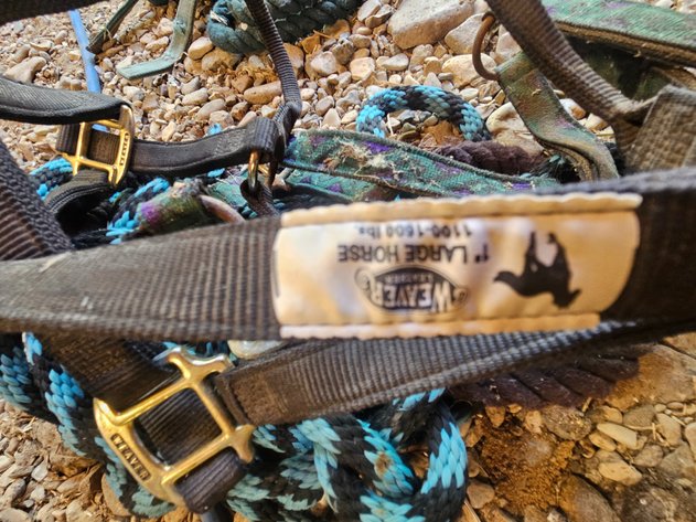 Image for Harnesses
