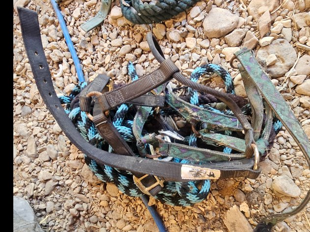 Image for Harnesses