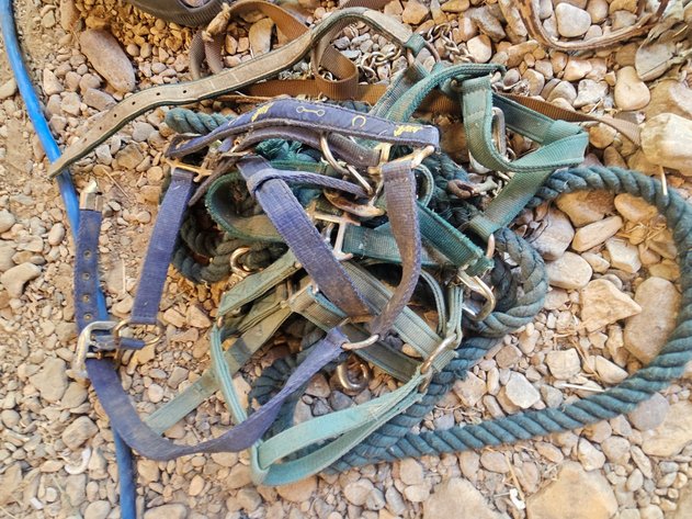 Image for Harnesses