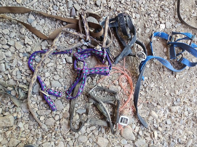 Image for Harnesses