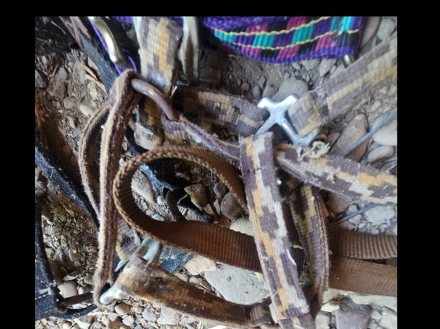 Image for Harnesses