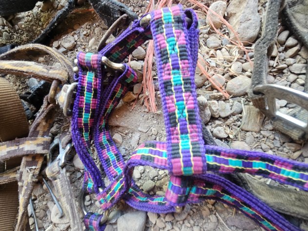 Image for Harnesses