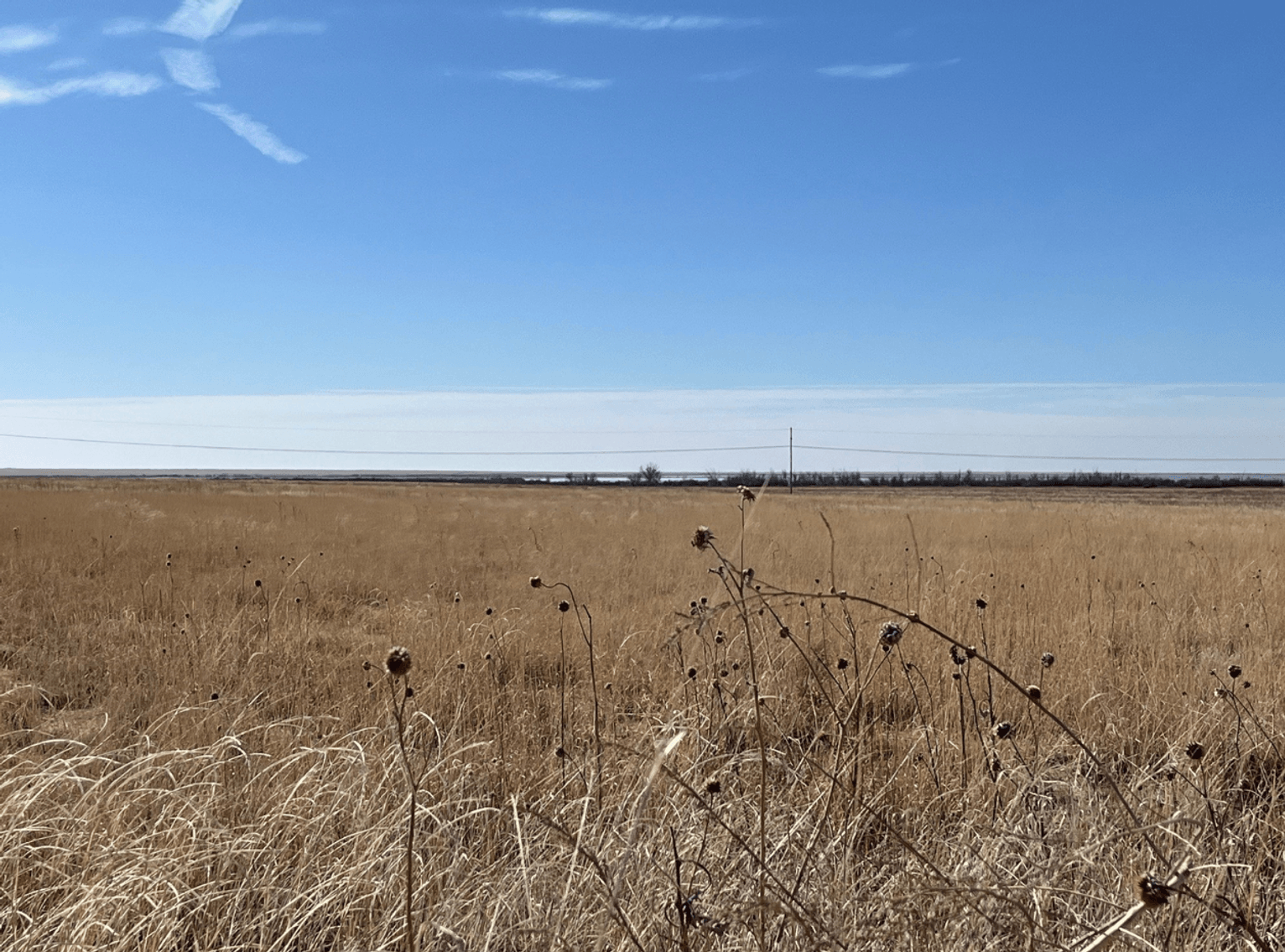 Image for KIOWA COUNTY, COLORADO - CRP (C4077)