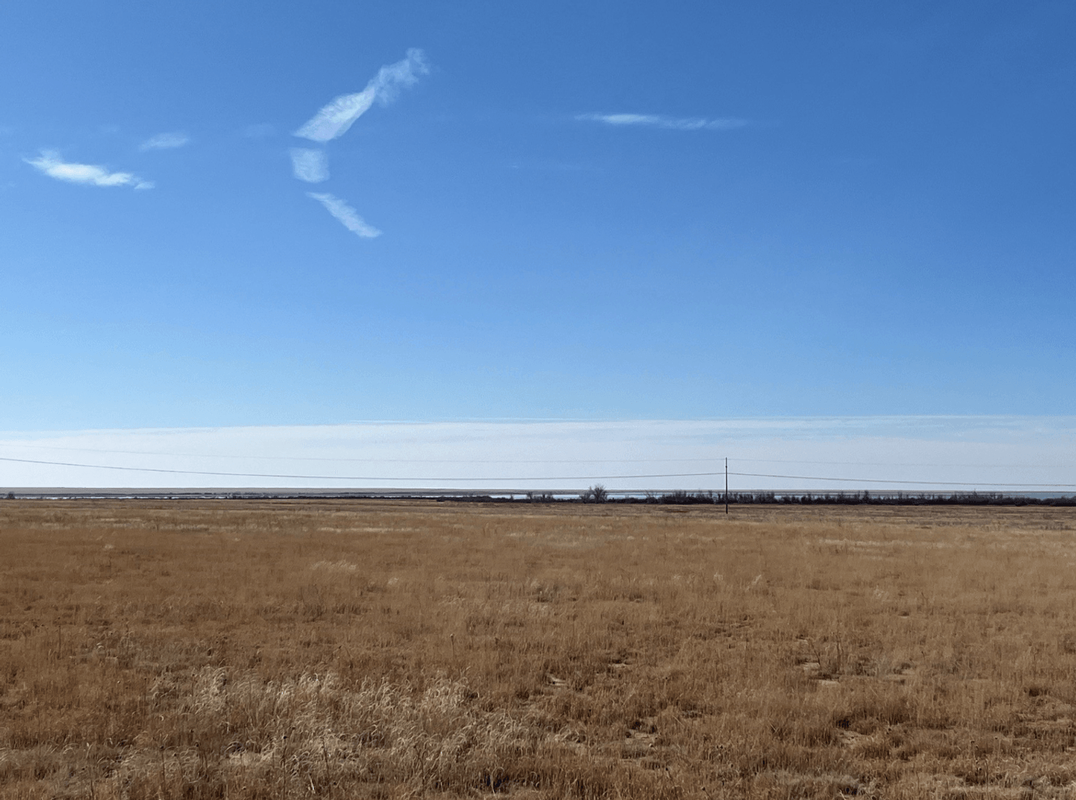 Image for KIOWA COUNTY, COLORADO - CRP (C4077)
