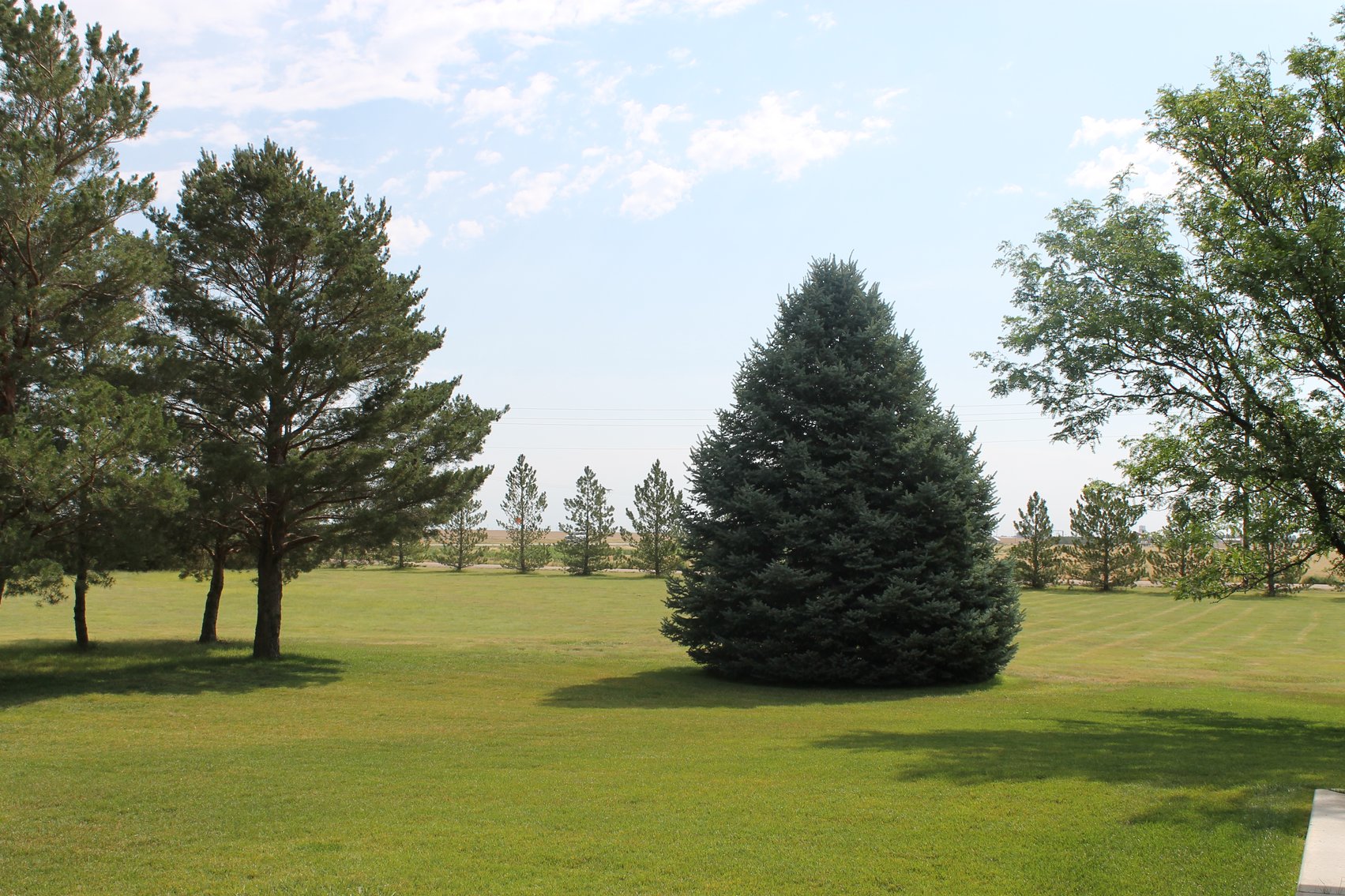 Image for KIT CARSON COUNTY, CO - RURAL PROPERTY C4080