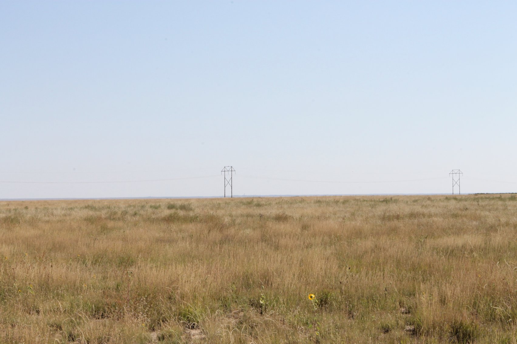 Image for KIOWA COUNTY, CO - CRP