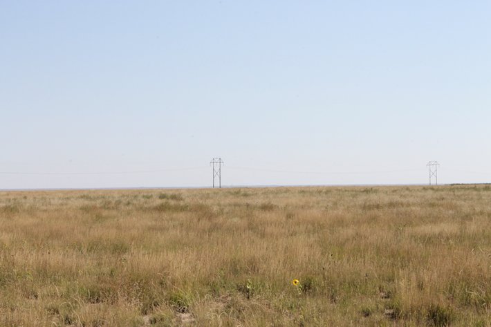 Image for KIOWA COUNTY, CO - CRP