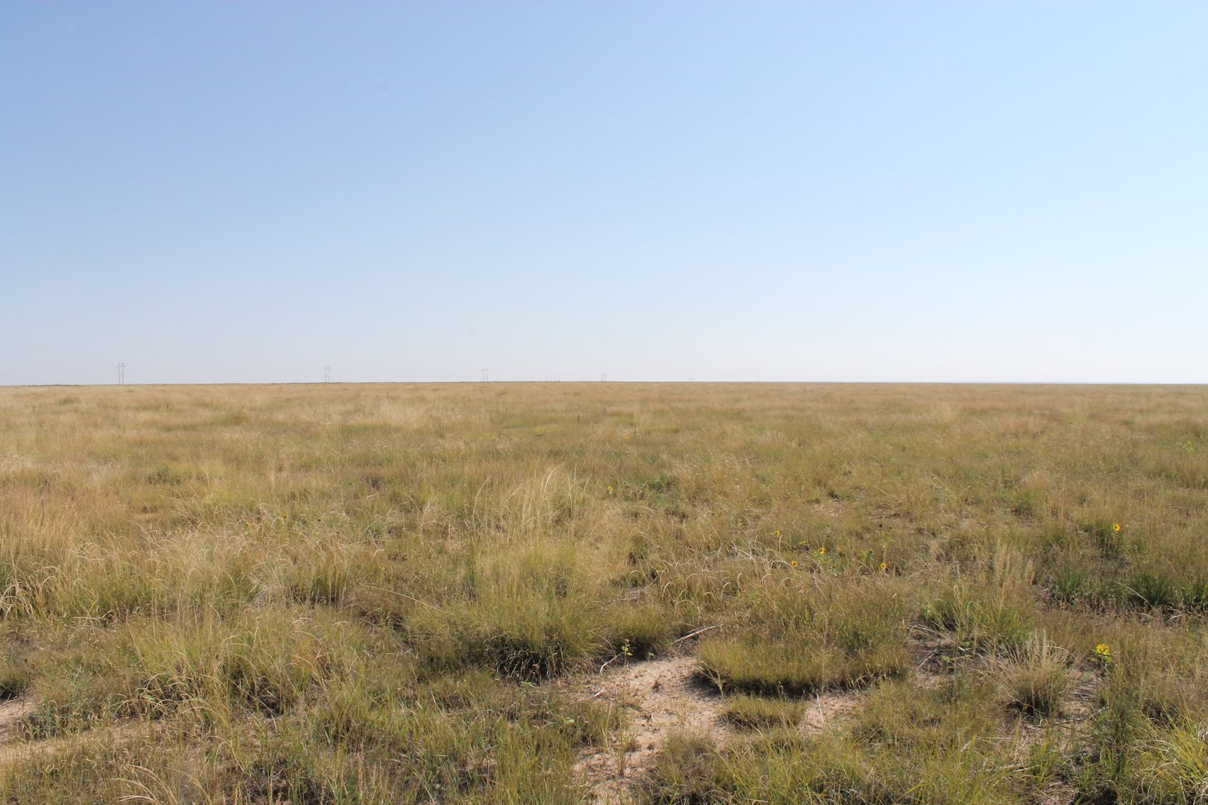 Image for KIOWA COUNTY, CO - CRP