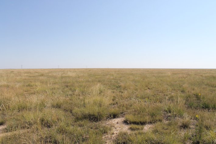 Image for KIOWA COUNTY, CO - CRP